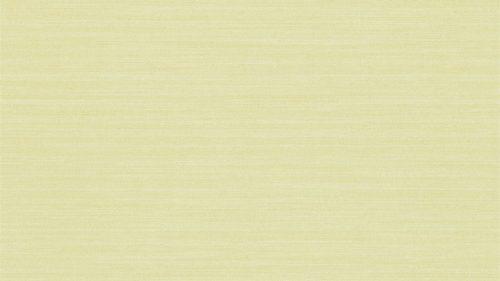 Tussah Silk ZPAW07010